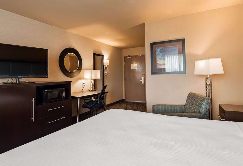 汽车旅馆  Best Western Plus Oceanside Palms