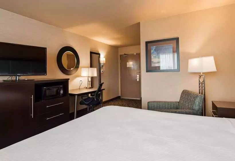 汽车旅馆  Best Western Plus Oceanside Palms