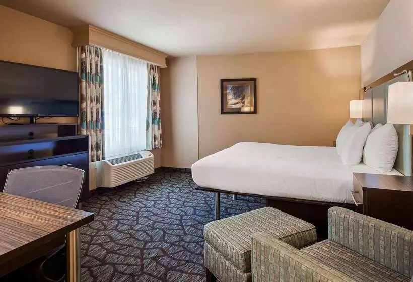 汽车旅馆  Best Western Plus Oceanside Palms