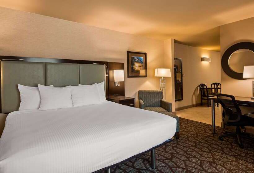 汽车旅馆  Best Western Plus Oceanside Palms