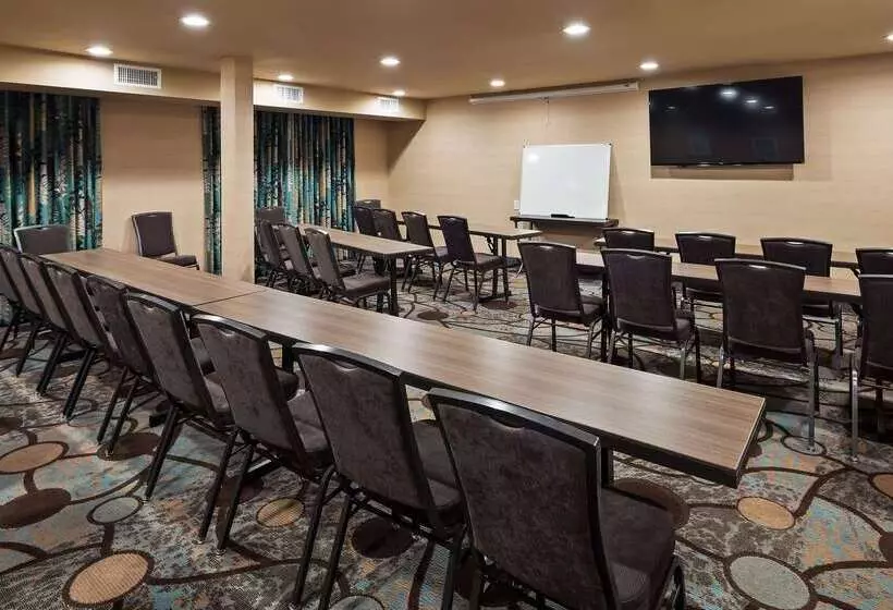 汽车旅馆  Best Western Plus Oceanside Palms