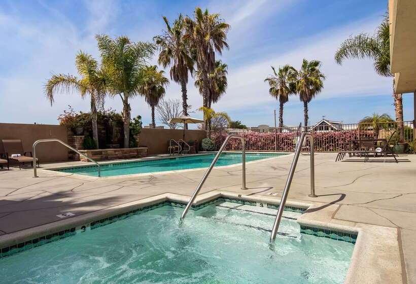 汽车旅馆  Best Western Plus Oceanside Palms