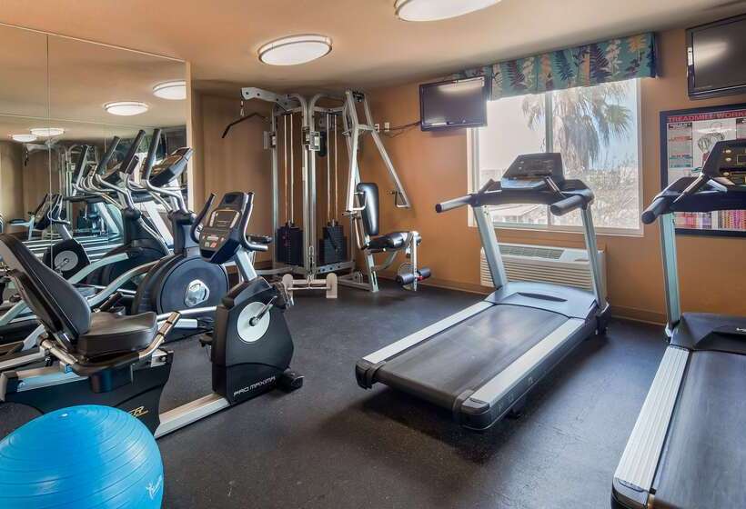 汽车旅馆  Best Western Plus Oceanside Palms