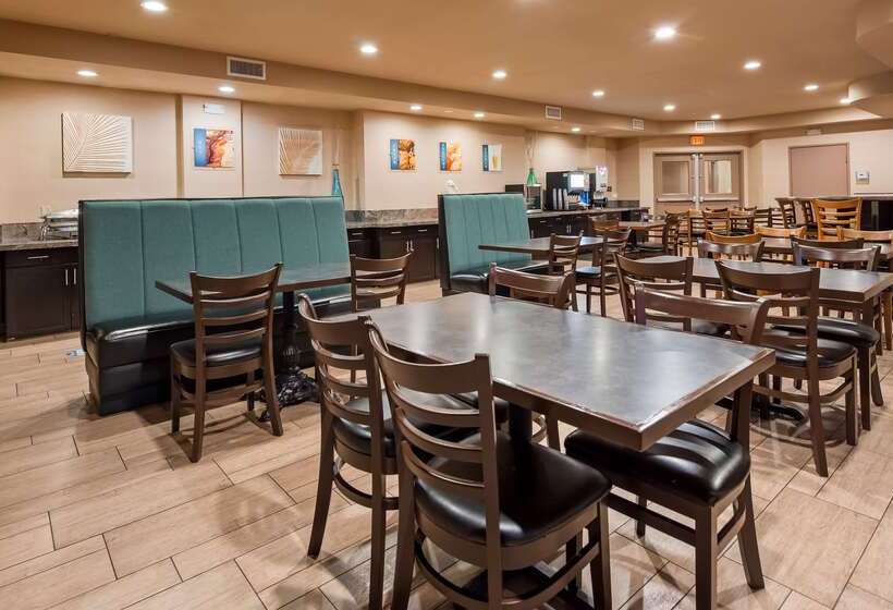 汽车旅馆  Best Western Plus Oceanside Palms