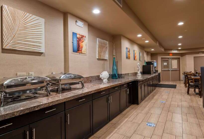 汽车旅馆  Best Western Plus Oceanside Palms