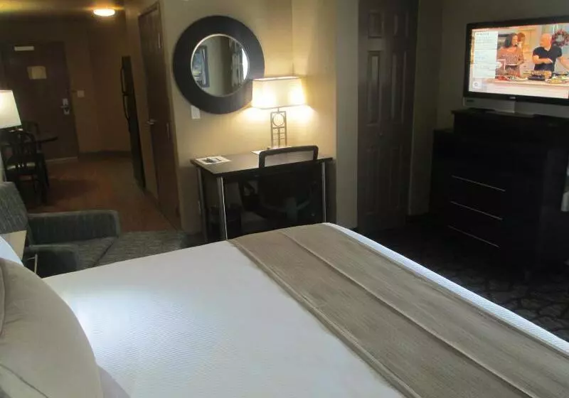 汽车旅馆  Best Western Plus Oceanside Palms