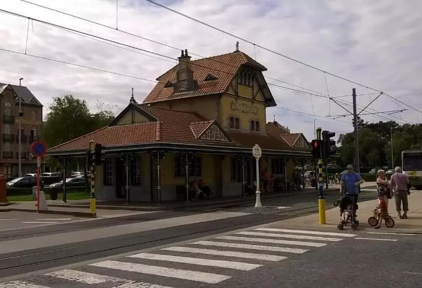 B&b Kokodor