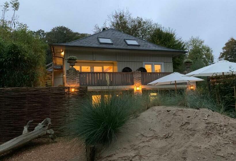 Bed and Breakfast Loft 55, Penthouse Aan De Schoorlse Duinen