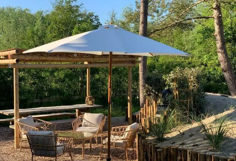 ベッドアンドブレックファースト Loft 55, Penthouse Aan De Schoorlse Duinen