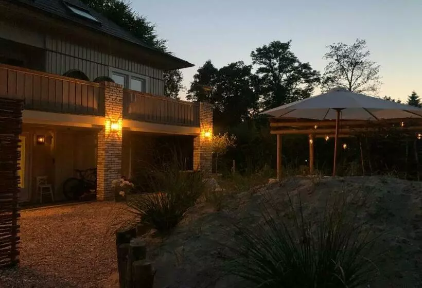 ベッドアンドブレックファースト Loft 55, Penthouse Aan De Schoorlse Duinen