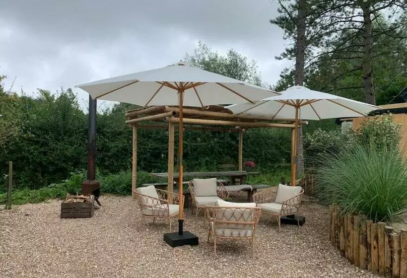 ベッドアンドブレックファースト Loft 55, Penthouse Aan De Schoorlse Duinen