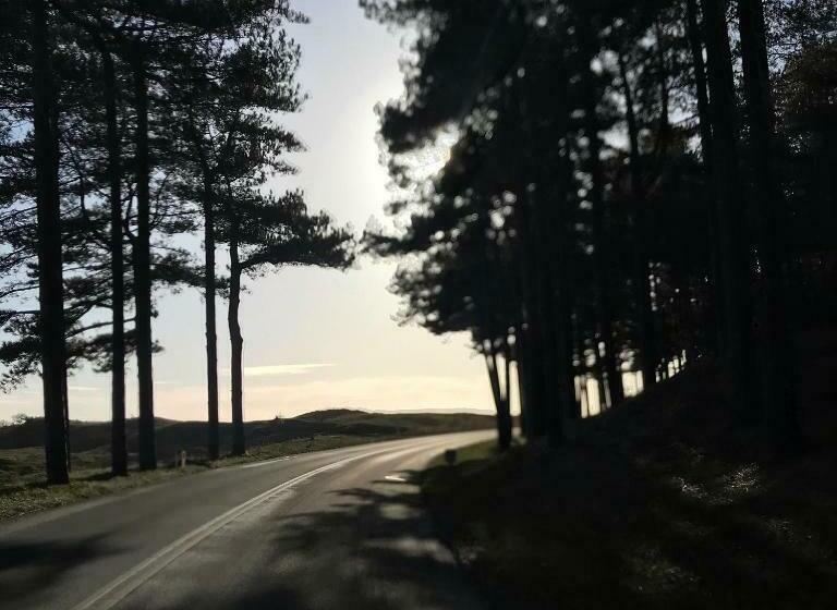 Bed and Breakfast Loft 55, Penthouse Aan De Schoorlse Duinen