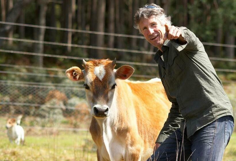 酒店 Elvenhome Farm