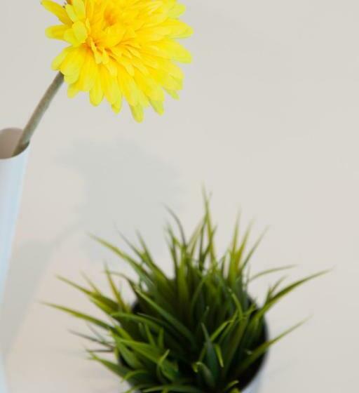 Lethes View Apartamentos Turisticos