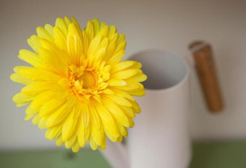 Lethes View Apartamentos Turisticos