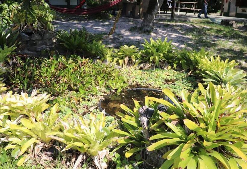 Пансион Nosso Chalé Na Ilha