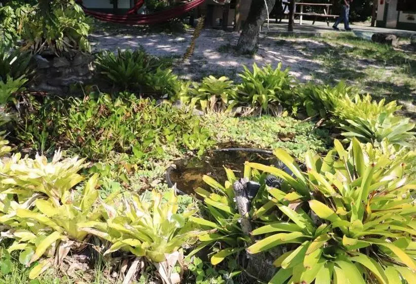 ペンション Nosso Chalé Na Ilha