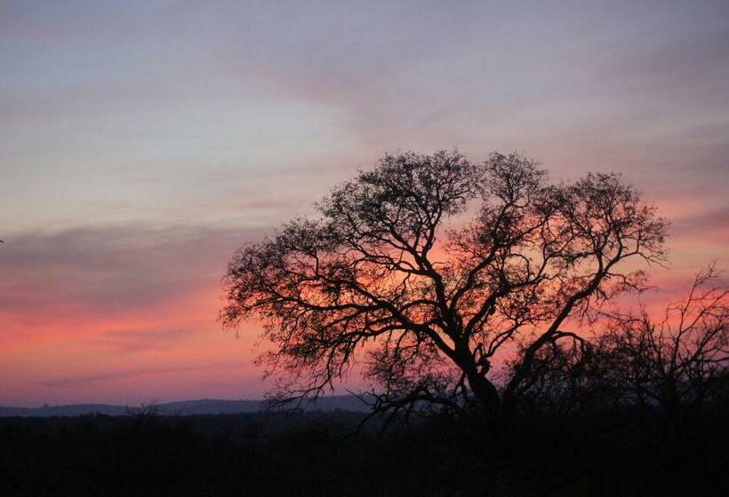 פנסיון The Fever Tree Guest House