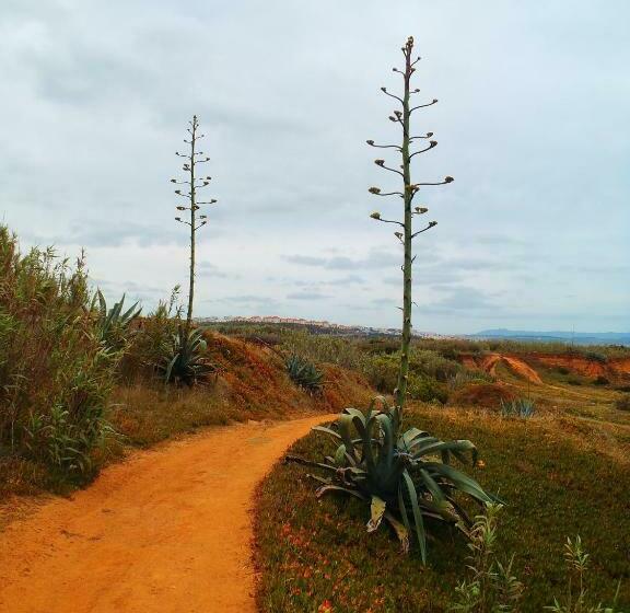 Hospedaria Alaia Surflodge