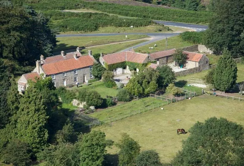 Aamiaismajoitus (B&B) Barmoors