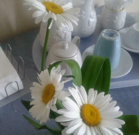 צימר Casa Iovara