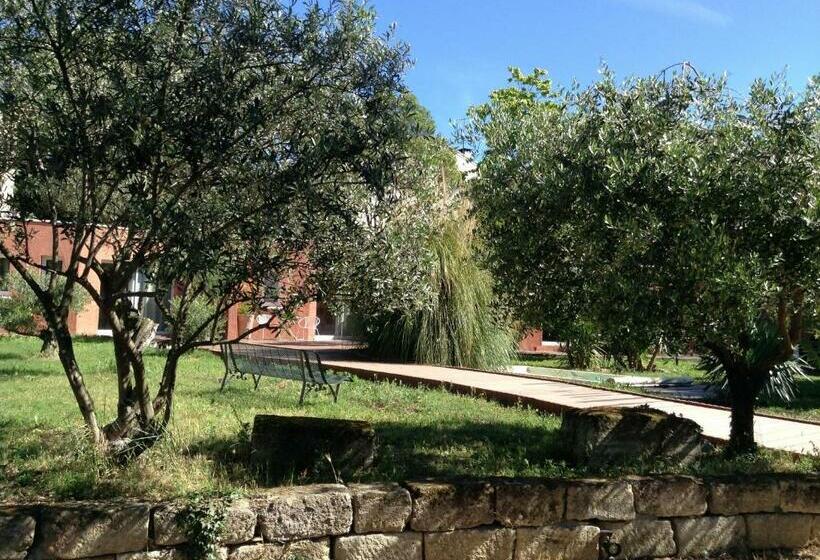 צימר De La Suite Dans Les Oliviers