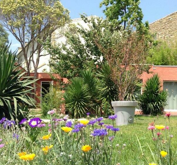 צימר De La Suite Dans Les Oliviers