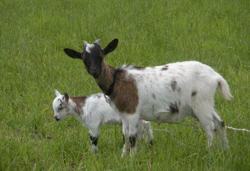 민박 Ferme Saint Joseph
