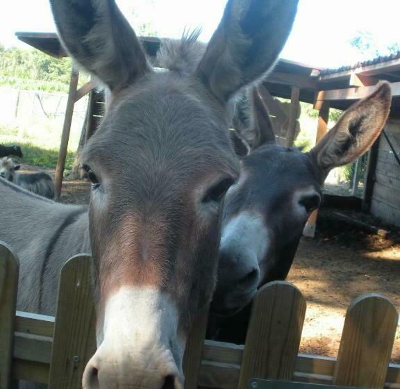 민박 Ferme Saint Joseph