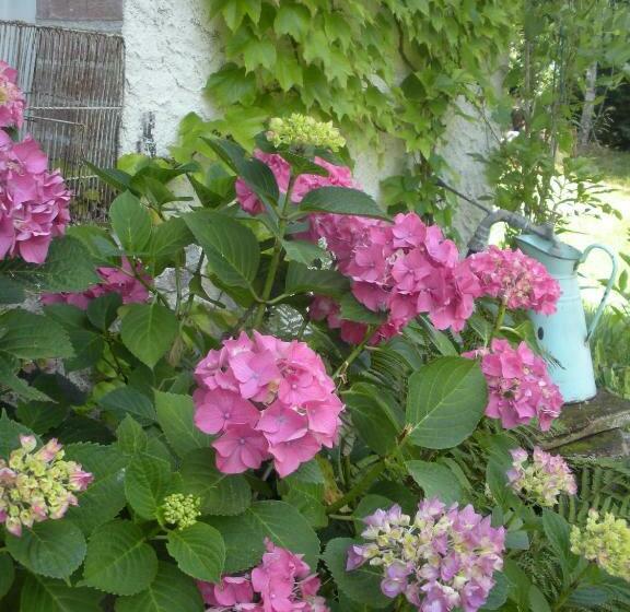 민박 Ferme Saint Joseph