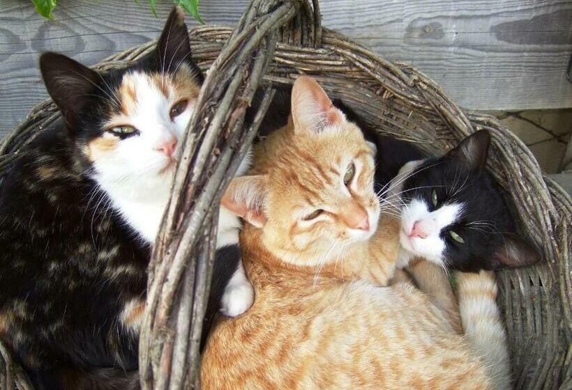 민박 Ferme Saint Joseph