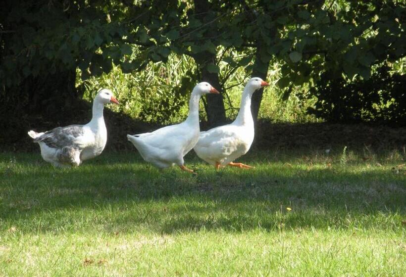 민박 Ferme Saint Joseph