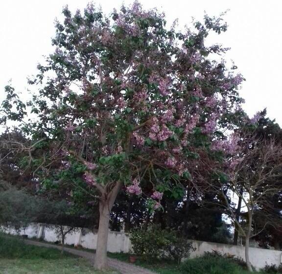 Hotel Mulino Bonacasa