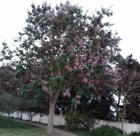 Hotelli Mulino Bonacasa