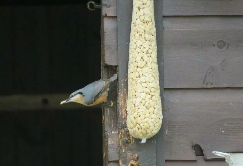 Pensão Haus Bergblick