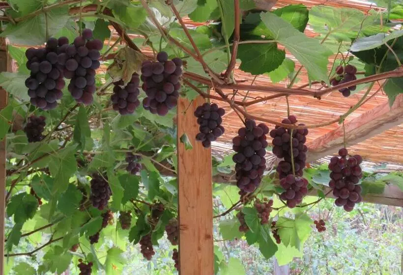 Pensão Haus Bergblick