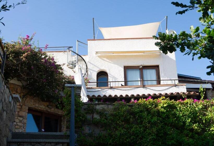 Пансион Villa Minda Lodge & View