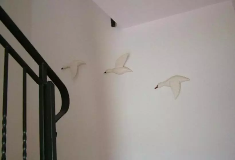 B&b Belvedere