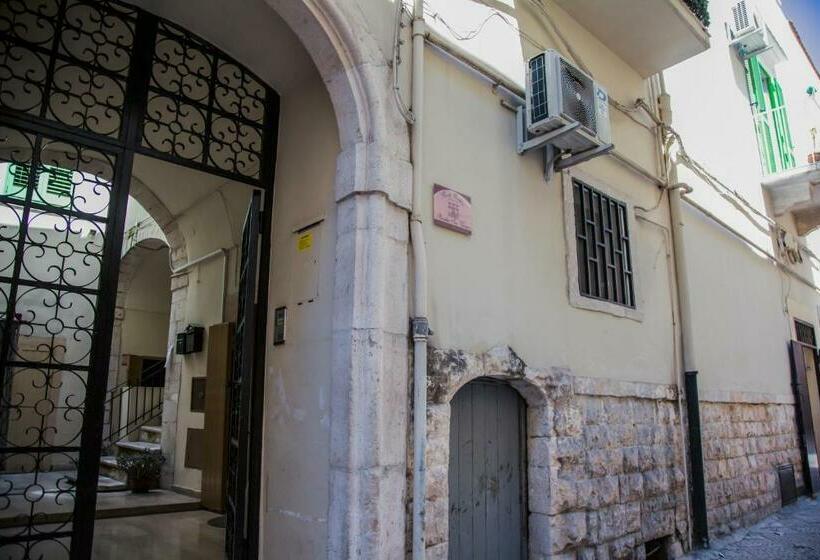 B&b Paradiso San Vincenzo