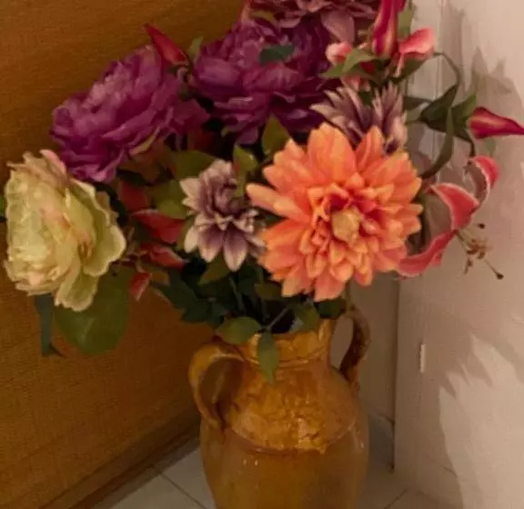 B&b Paradiso San Vincenzo