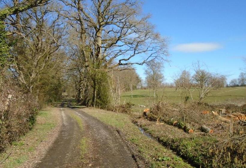 مبيت وإفطار Mouhet Appartement Sortie 21 A20