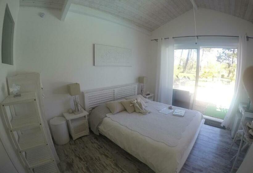 ベッドアンドブレックファースト Villa Saint Barth