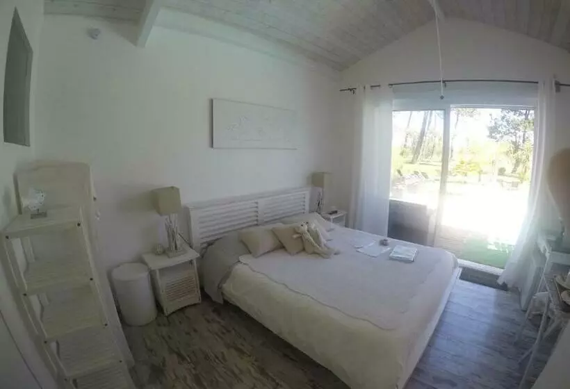 Aamiaismajoitus (B&B) Villa Saint Barth