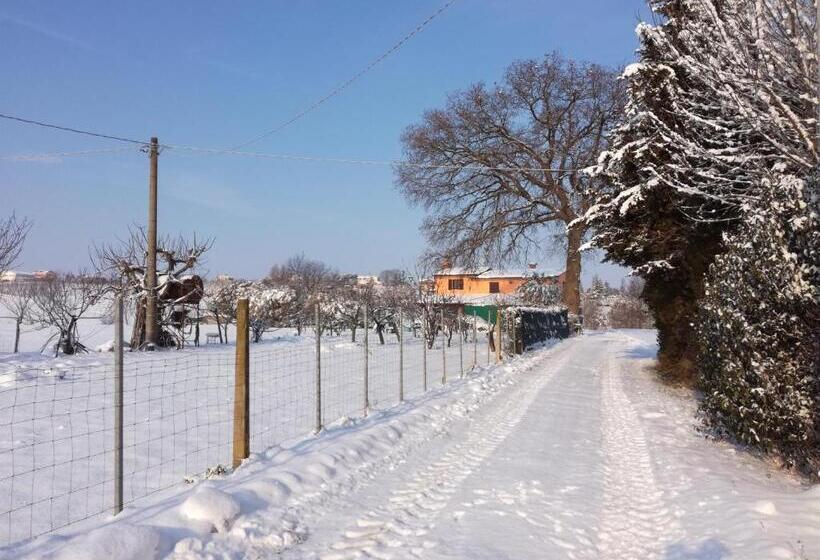 ホテル Country Rooms & Suite La Quercia