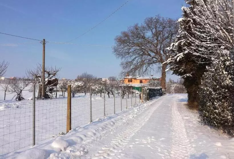 ホテル Country Rooms & Suite La Quercia