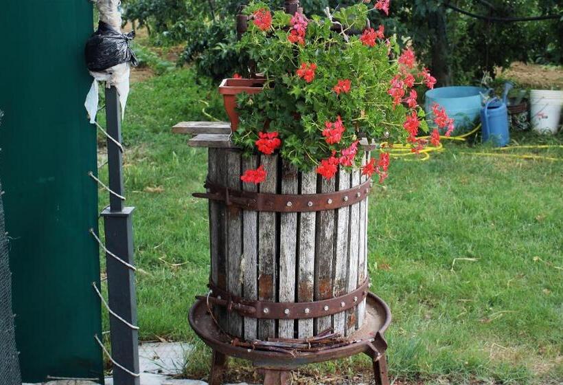 ホテル Country Rooms & Suite La Quercia