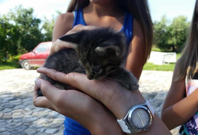 ホテル Country Rooms & Suite La Quercia