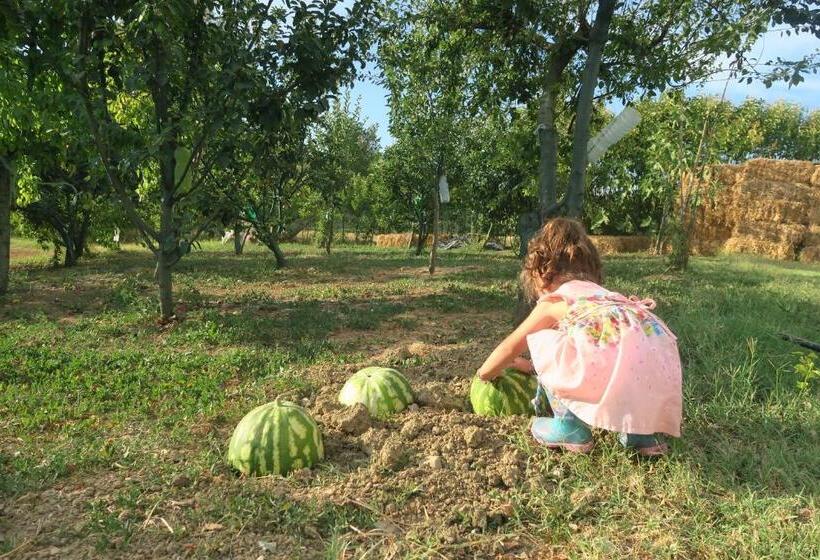 ホテル Country Rooms & Suite La Quercia