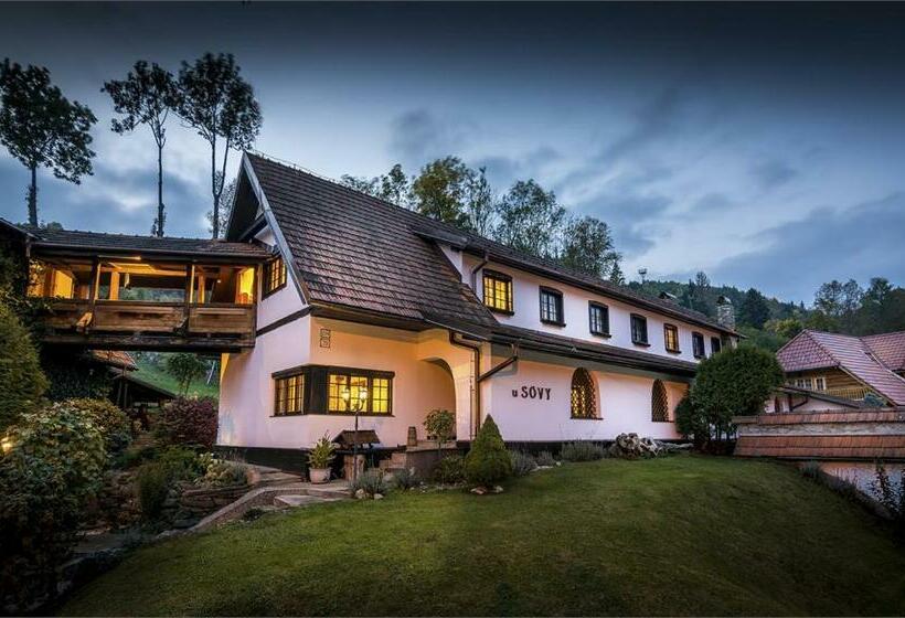 بنسيون Penzion U Sovy