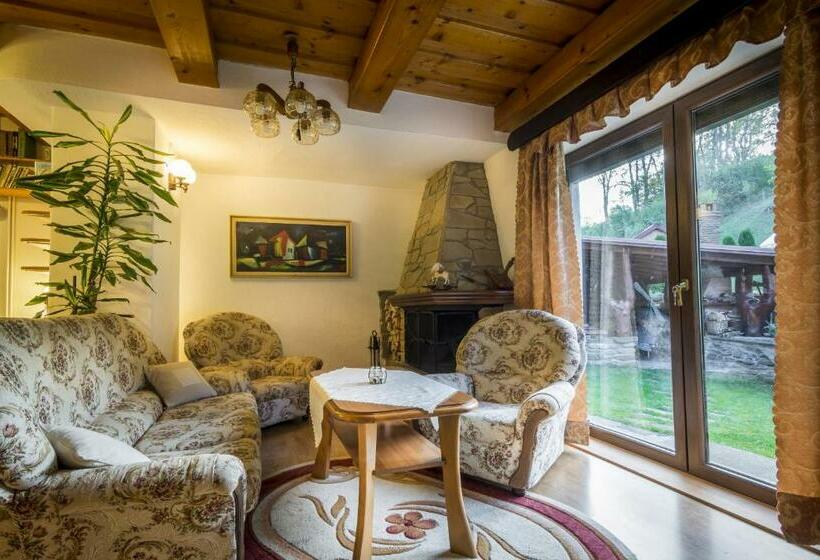 بنسيون Penzion U Sovy